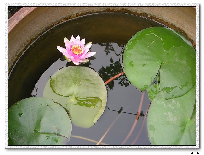 �ҵ�˯��������