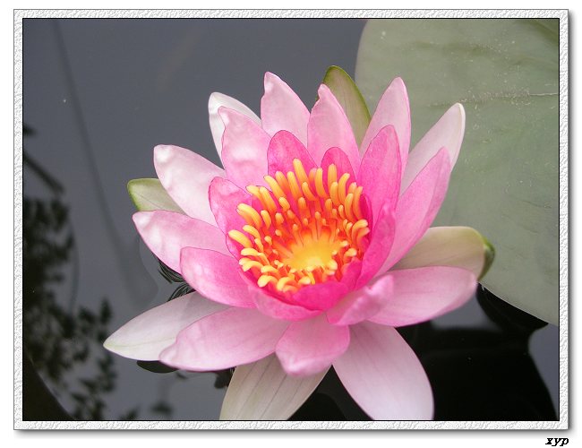 �ҵ�˯��������