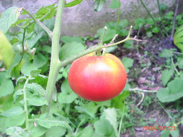 İ��һ������!(�н��)