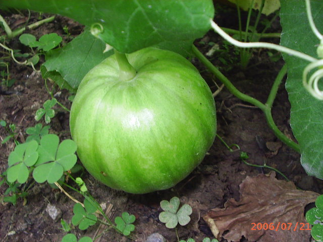 İ��һ������!(�н��)