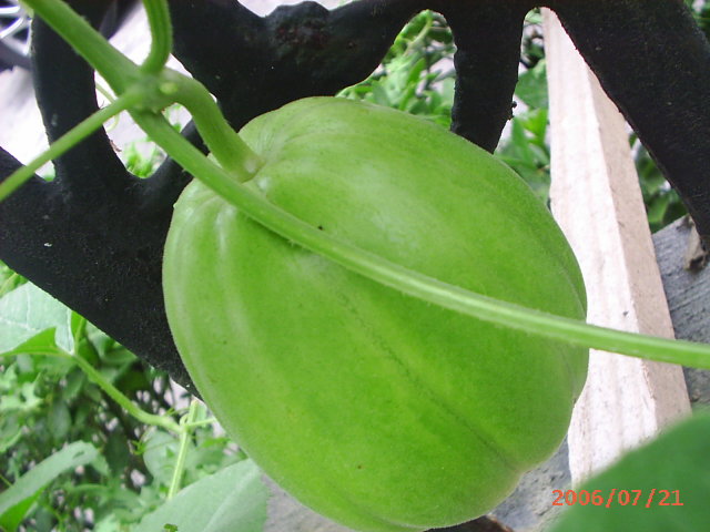 İ��һ������!(�н��)