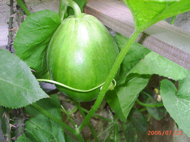 İ��һ������!(�н��)