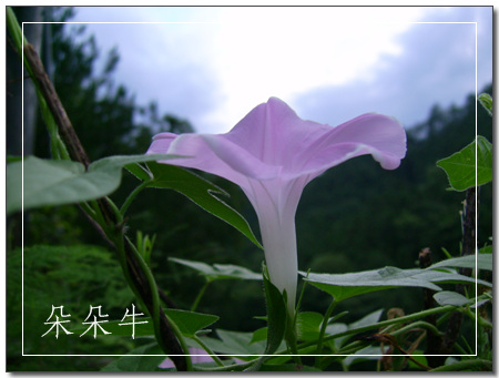 ��Ӱ��Ʒ�����������ң�8.18��ֹ