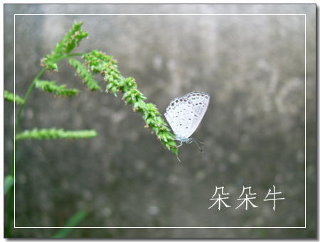 ��Ӱ��Ʒ�����������ң�8.18��ֹ