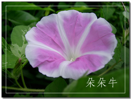 ��Ӱ��Ʒ�����������ң�8.18��ֹ