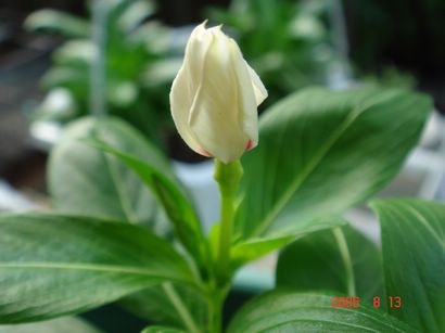 �ҵ����մ�(������)