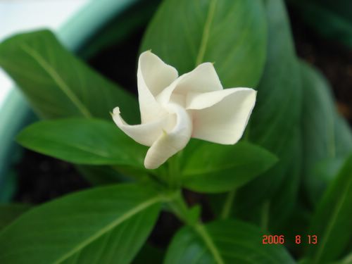 �ҵ����մ�(������)