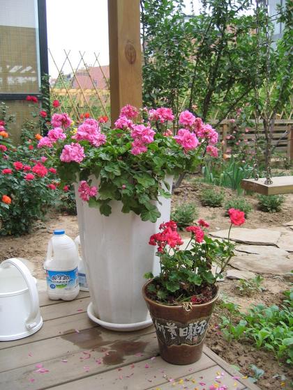 ��ʳ���������û�������(δ�����)