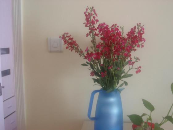 ��ʳ���������û�������(δ�����)