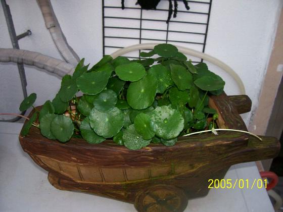 ��ʳ���������û�������(δ�����)