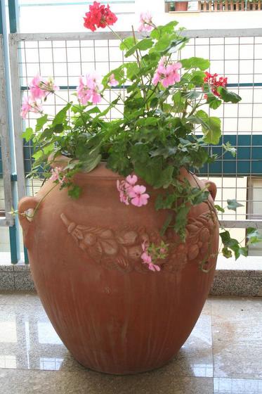 ��ʳ���������û�������(δ�����)