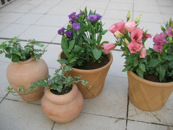 ��ʳ���������û�������(δ�����)