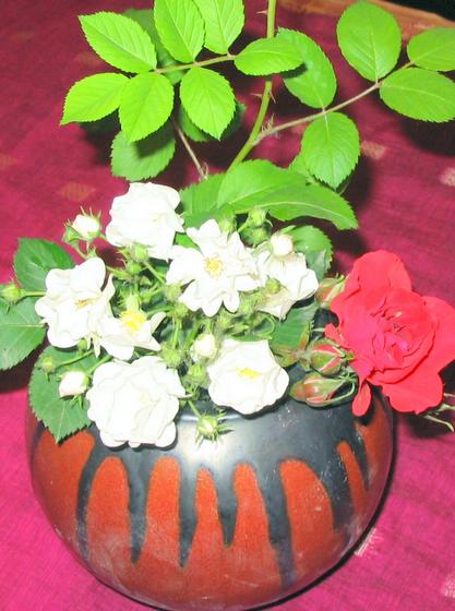 ��ʳ���������û�������(δ�����)