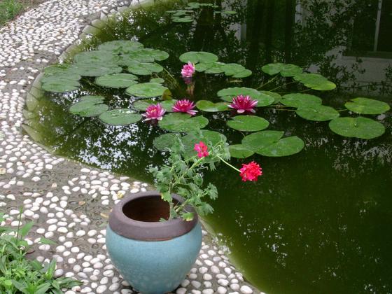 ��ʳ���������û�������(δ�����)