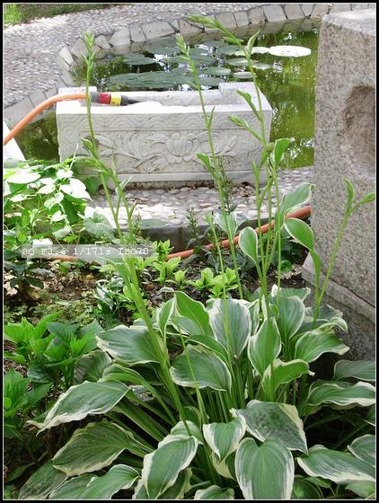 ��ʳ���������û�������(δ�����)