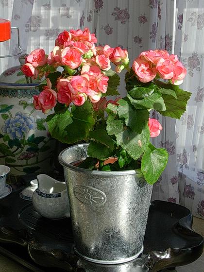 ��ʳ���������û�������(δ�����)