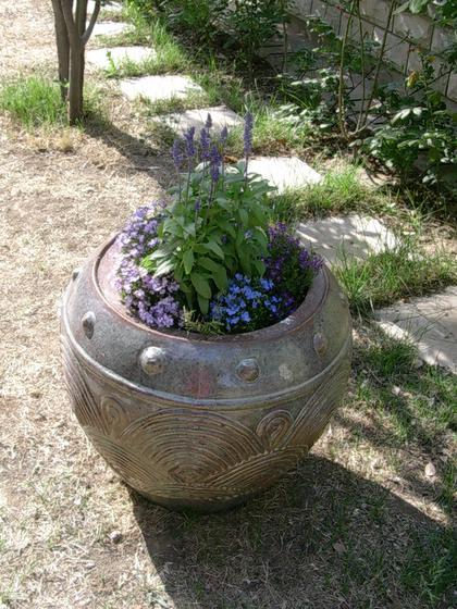 ��ʳ���������û�������(δ�����)