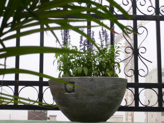 ��ʳ���������û�������(δ�����)