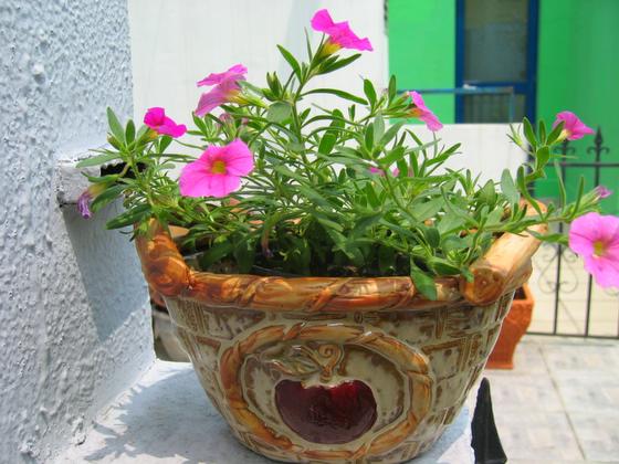 ��ʳ���������û�������(δ�����)