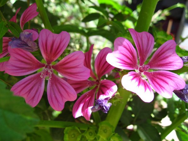 �ຣ��֮��