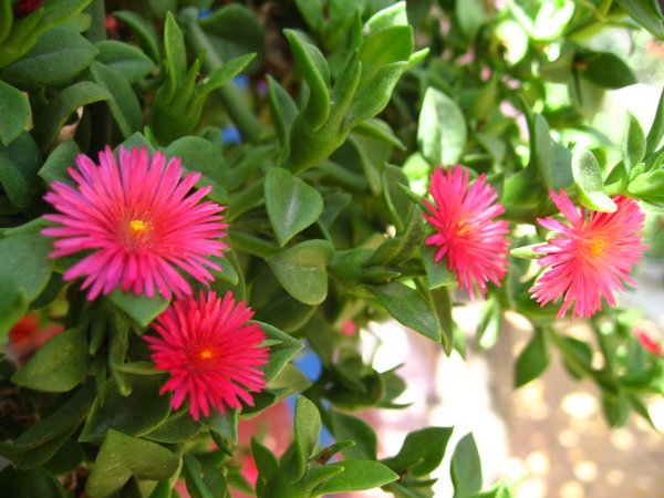 �ຣ��֮��