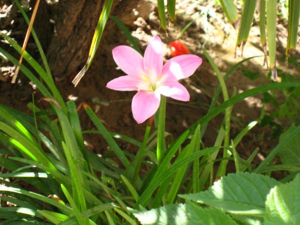 �ຣ��֮��