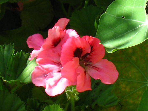 �ຣ��֮��