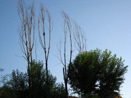 �ຣ��֮��