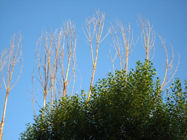 �ຣ��֮��