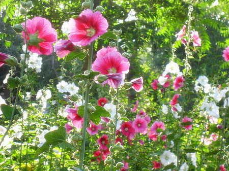 �ຣ��֮��