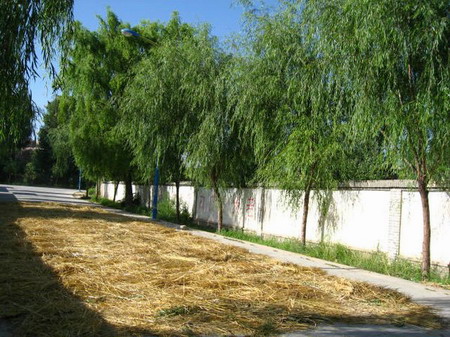 �ຣ��֮��