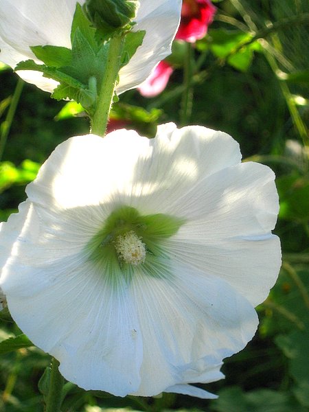 �ຣ��֮��