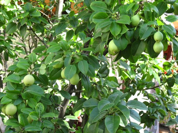 �ຣ��֮��