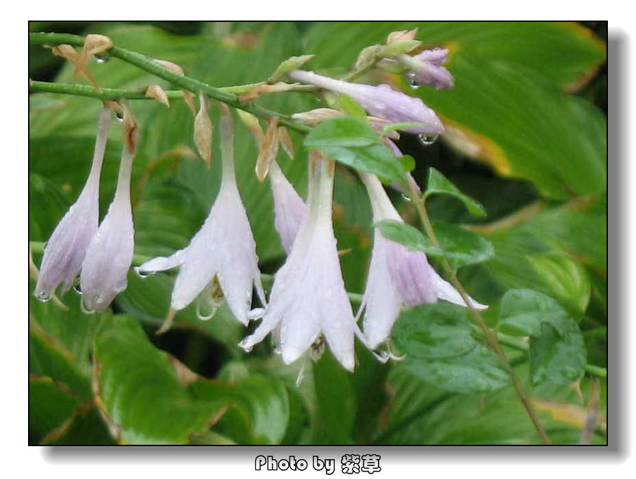 [ԭ��]��ʮ�����㲻�ϣ���������佻�Ϫ��