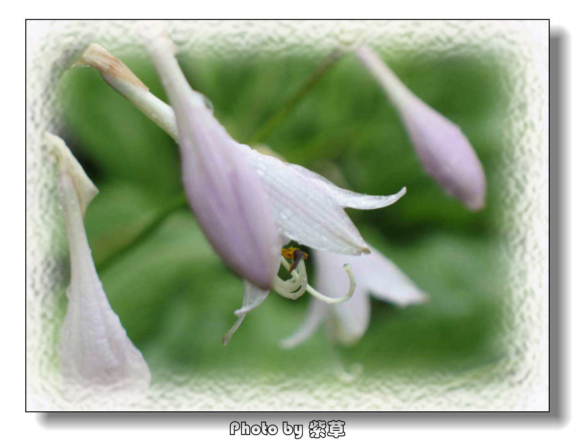 [ԭ��]��ʮ�����㲻�ϣ���������佻�Ϫ��