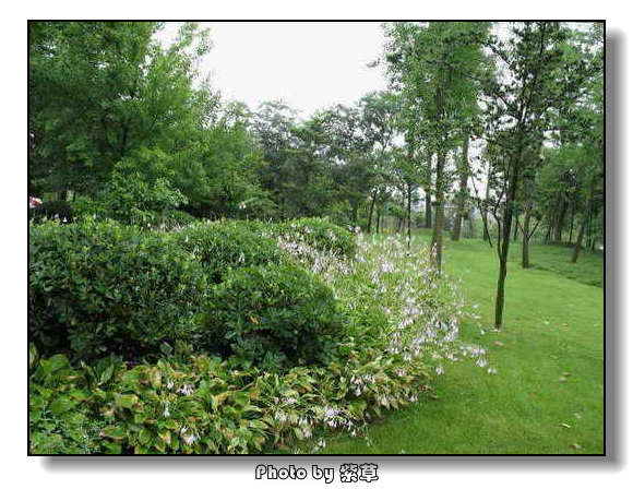 [ԭ��]��ʮ�����㲻�ϣ���������佻�Ϫ��