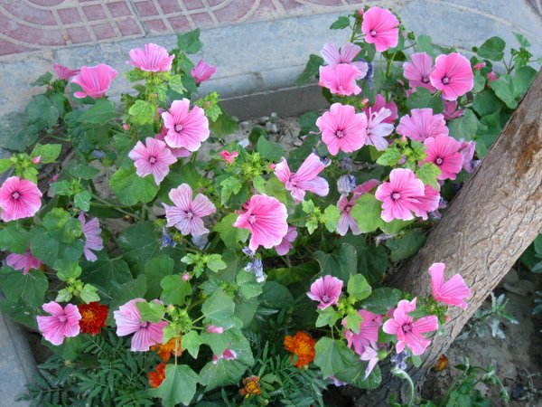 �ຣ��֮��