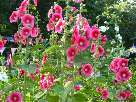 �ຣ��֮��