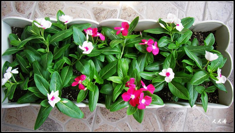 5���Ź��Ĵ����ͷ��޷��ɣ����ϸ����У�