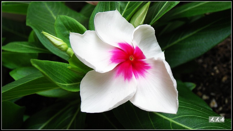 5���Ź��Ĵ����ͷ��޷��ɣ����ϸ����У�