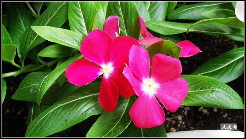 5���Ź��Ĵ����ͷ��޷��ɣ����ϸ����У�