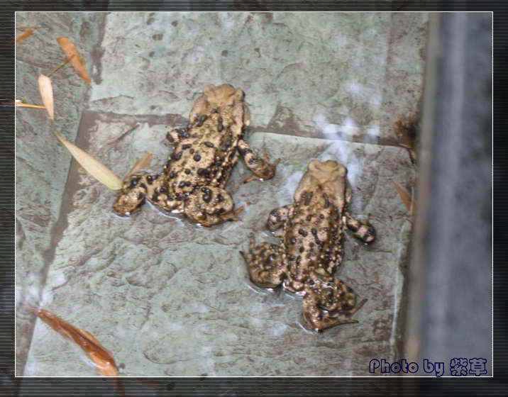 [ԭ��]��ʮ�����㲻�ϣ���������佻�Ϫ��