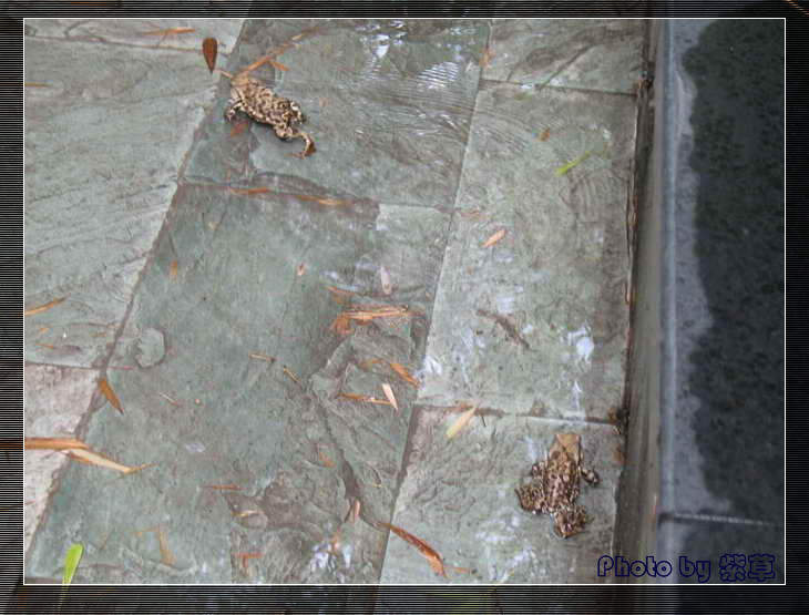 [ԭ��]��ʮ�����㲻�ϣ���������佻�Ϫ��