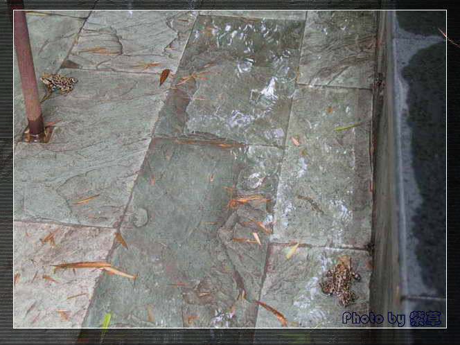 [ԭ��]��ʮ�����㲻�ϣ���������佻�Ϫ��