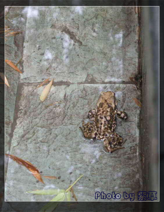 [ԭ��]��ʮ�����㲻�ϣ���������佻�Ϫ��