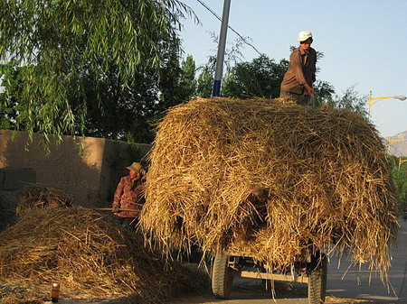 �ຣ��֮��