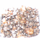 ���ֵ��ֻ��ռ�(С������5��)