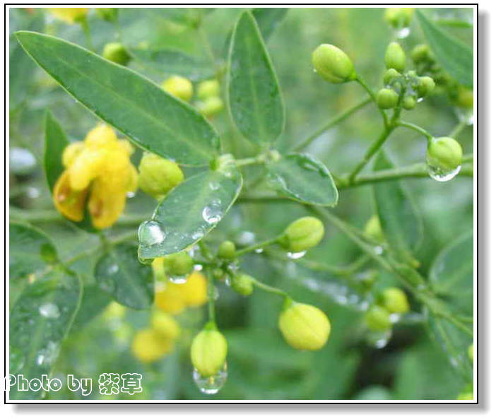 [ԭ��]��ʮ�����㲻�ϣ���������佻�Ϫ��