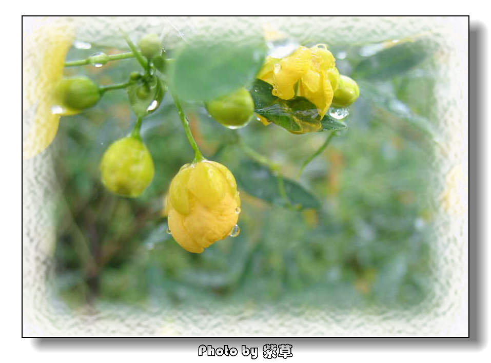 [ԭ��]��ʮ�����㲻�ϣ���������佻�Ϫ��