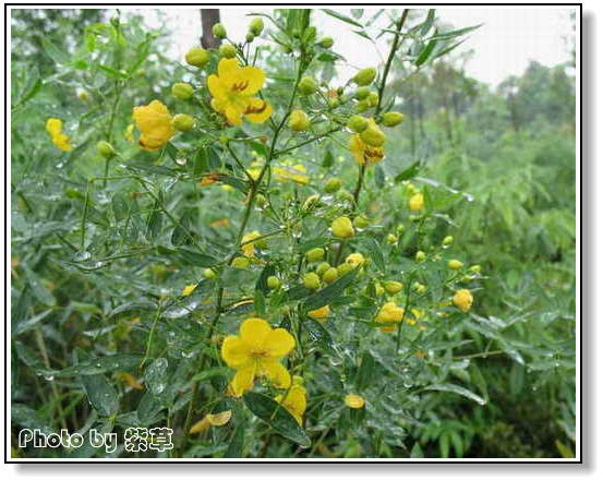 [ԭ��]��ʮ�����㲻�ϣ���������佻�Ϫ��